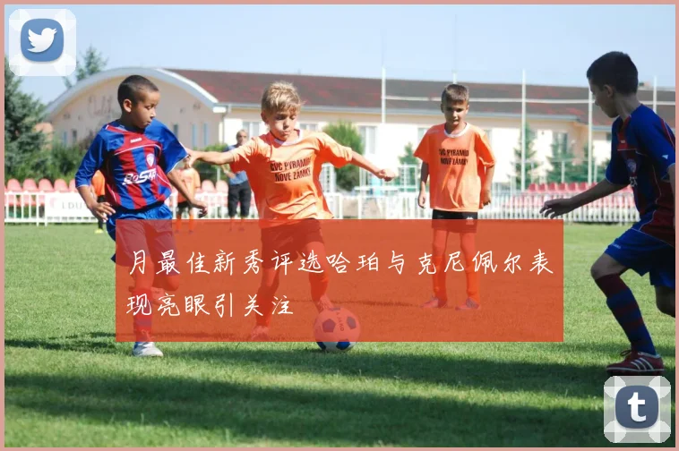 月最佳新秀评选哈珀与克尼佩尔表现亮眼引关注